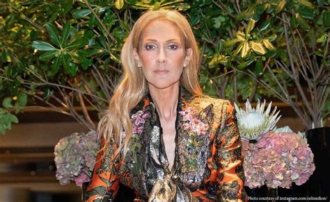 celine dion starts weird demonic clothing line|Celine Dion gender neutral clothing line.